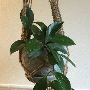 Meet your Posher, Katlin